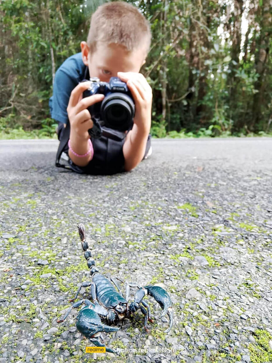 Picture